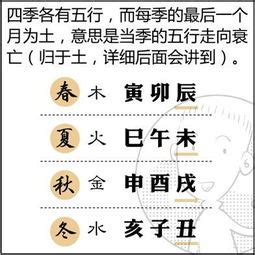 庚金女長相|庚金女命理分析